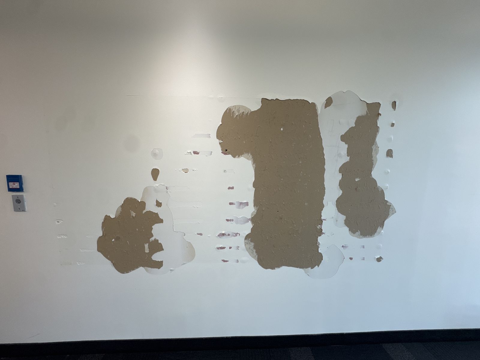 New office build-out ◆ Montréal (3/3)
