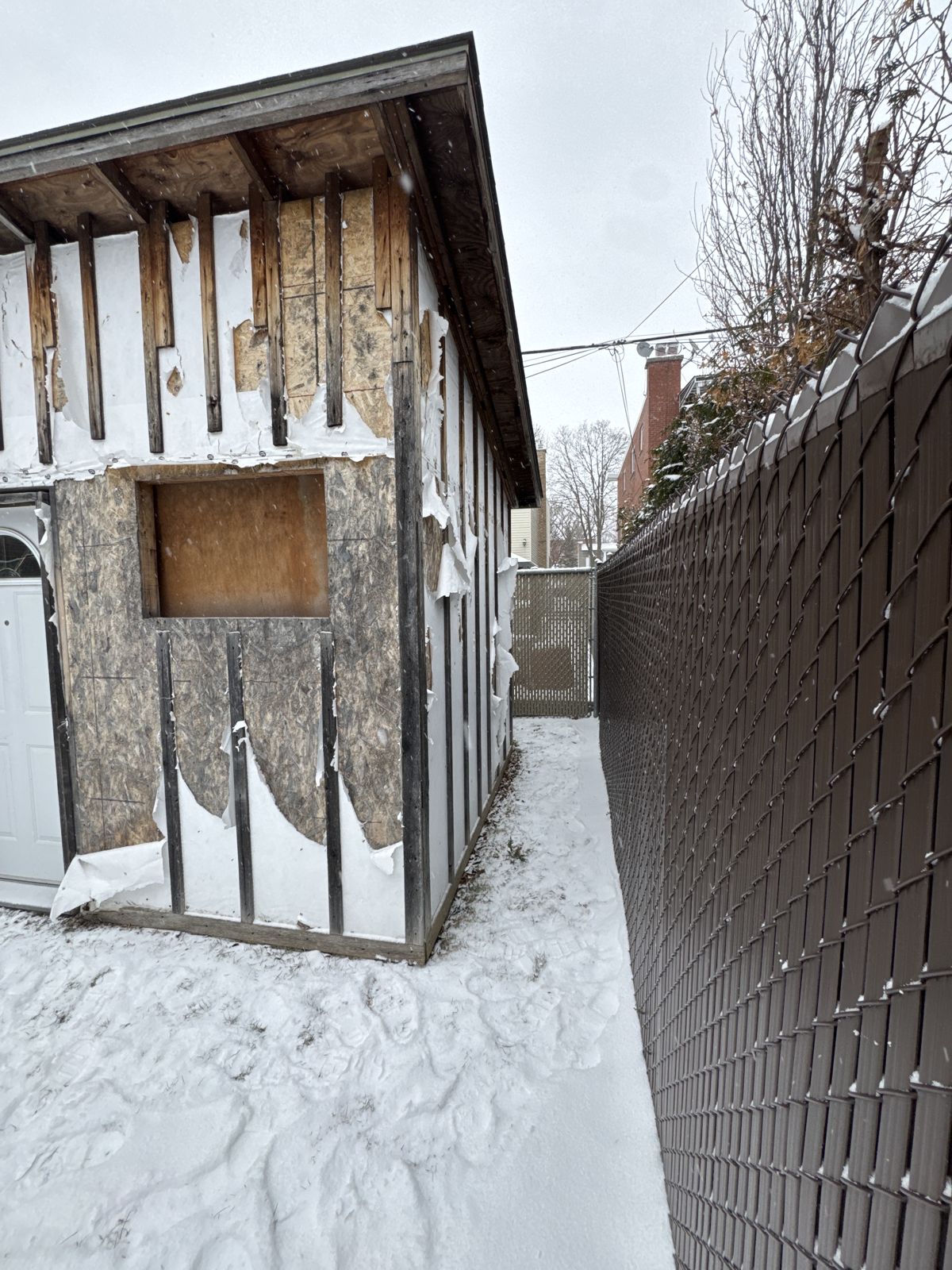 Backyard studio ◆ Montréal (5/5)